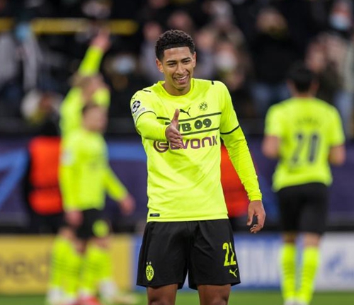 成功展映 成功展映