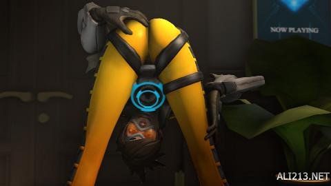 稳定的核心 稳定的核心